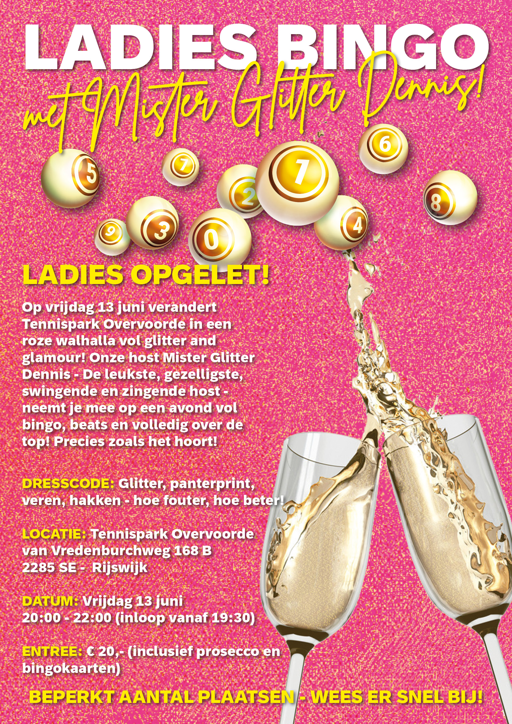 Ladies Bingo Poster